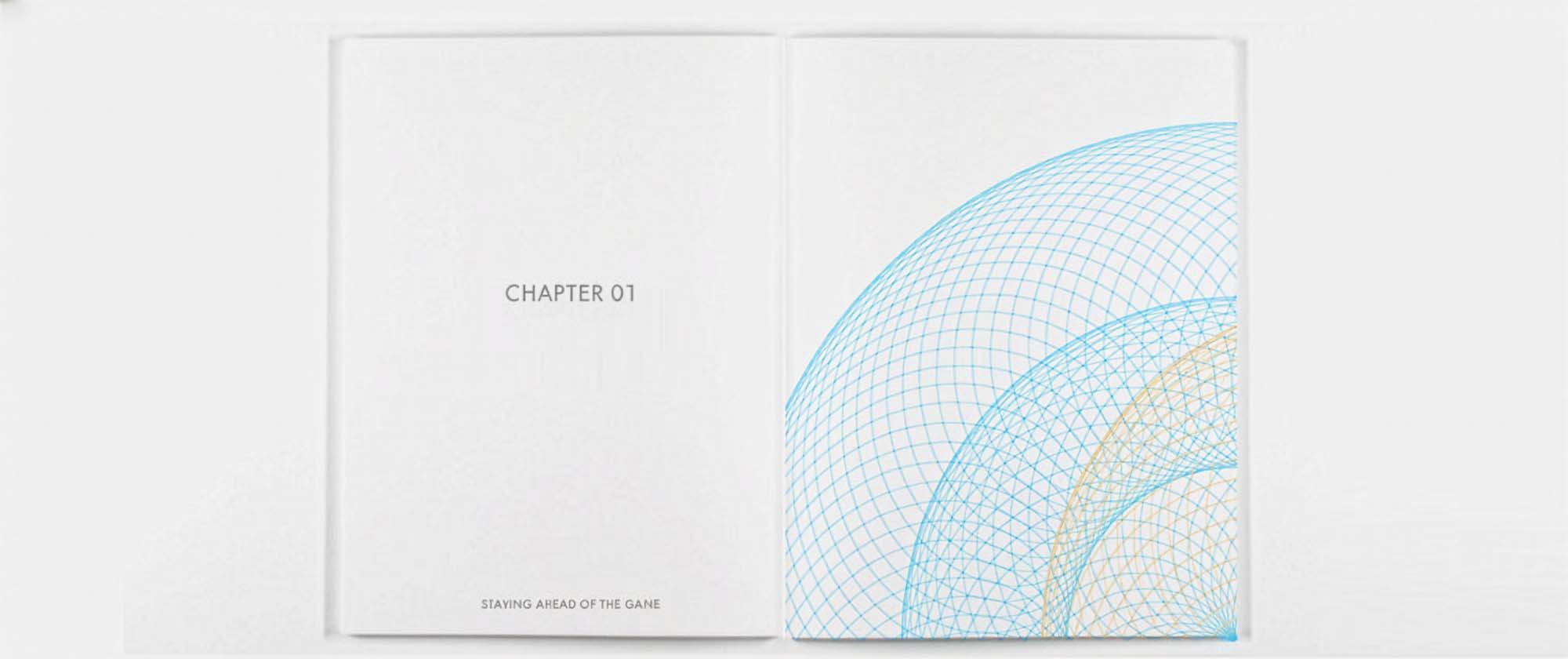International Atomic Energy Agency: book chapter pages curvatures