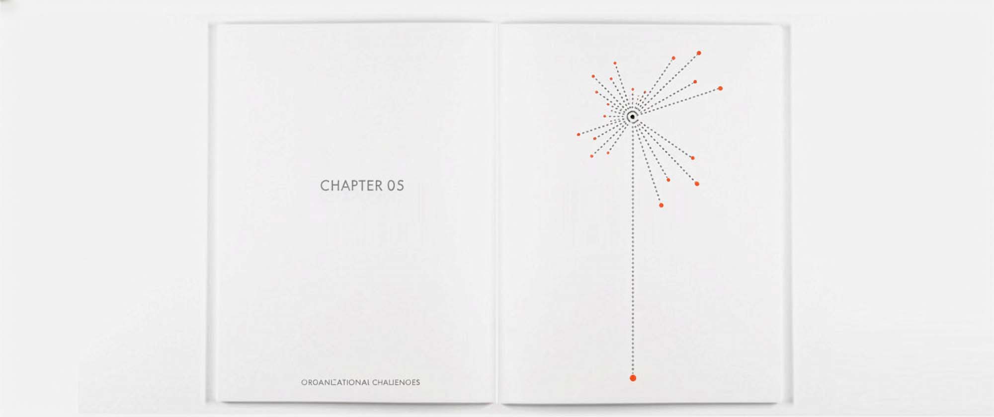 International Atomic Energy Agency: book chapter pages fission
