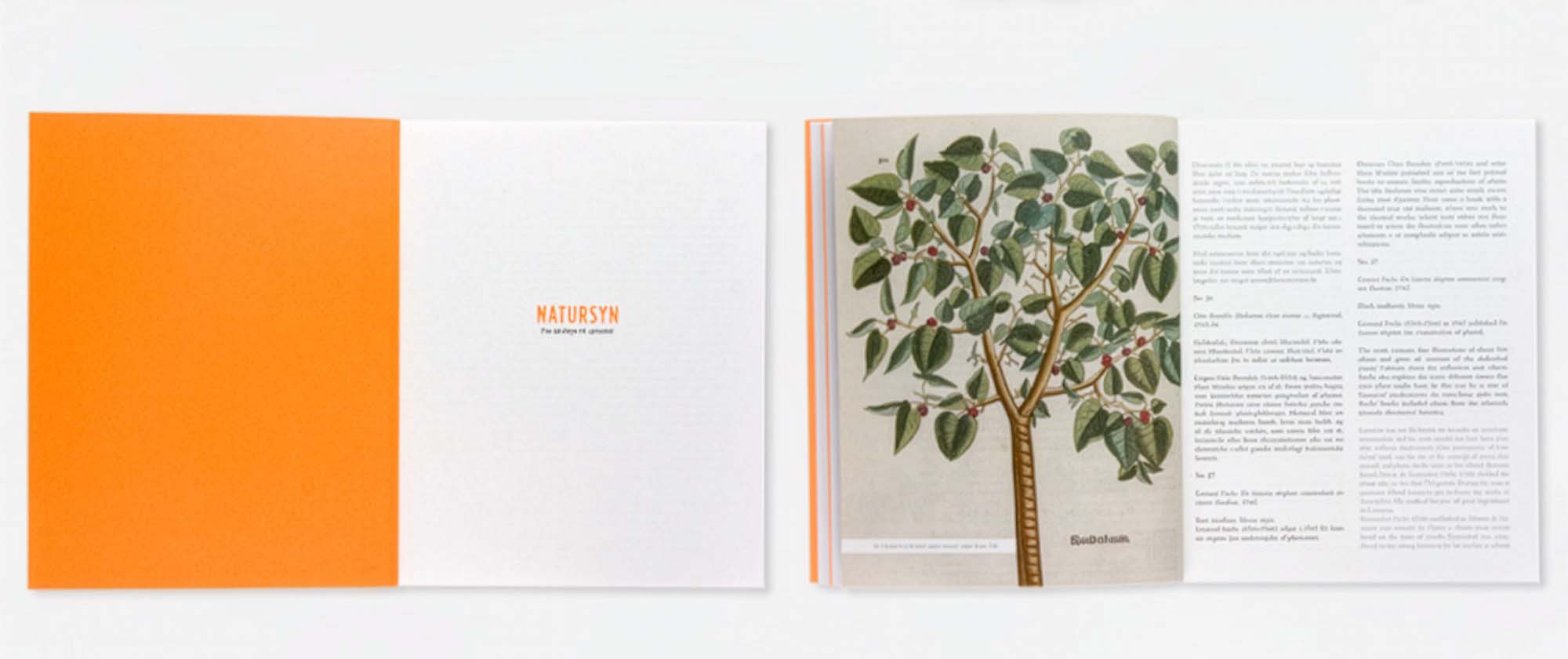 Natursyn: book open