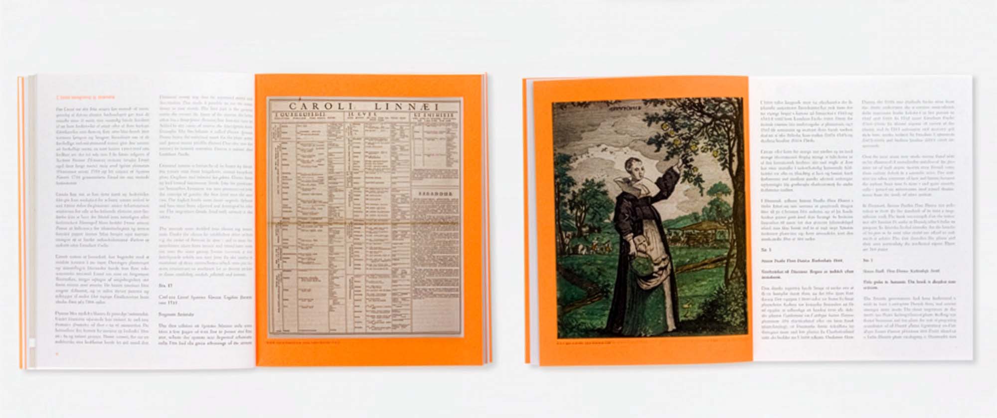 Natursyn: book open