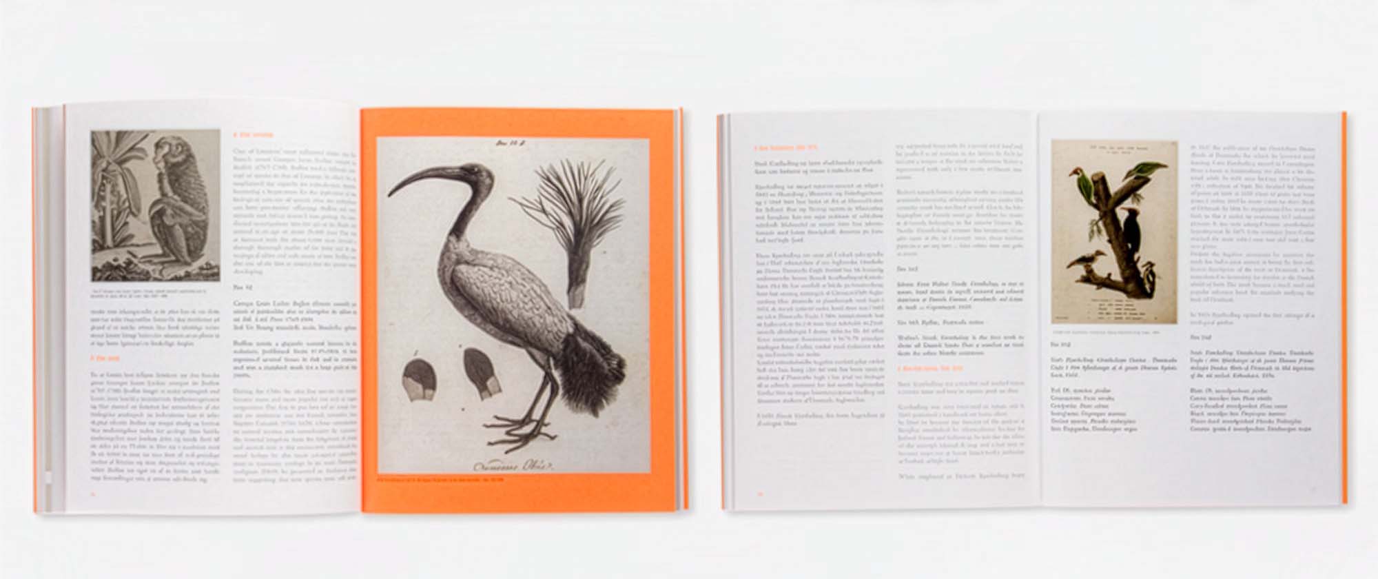 Natursyn: book open