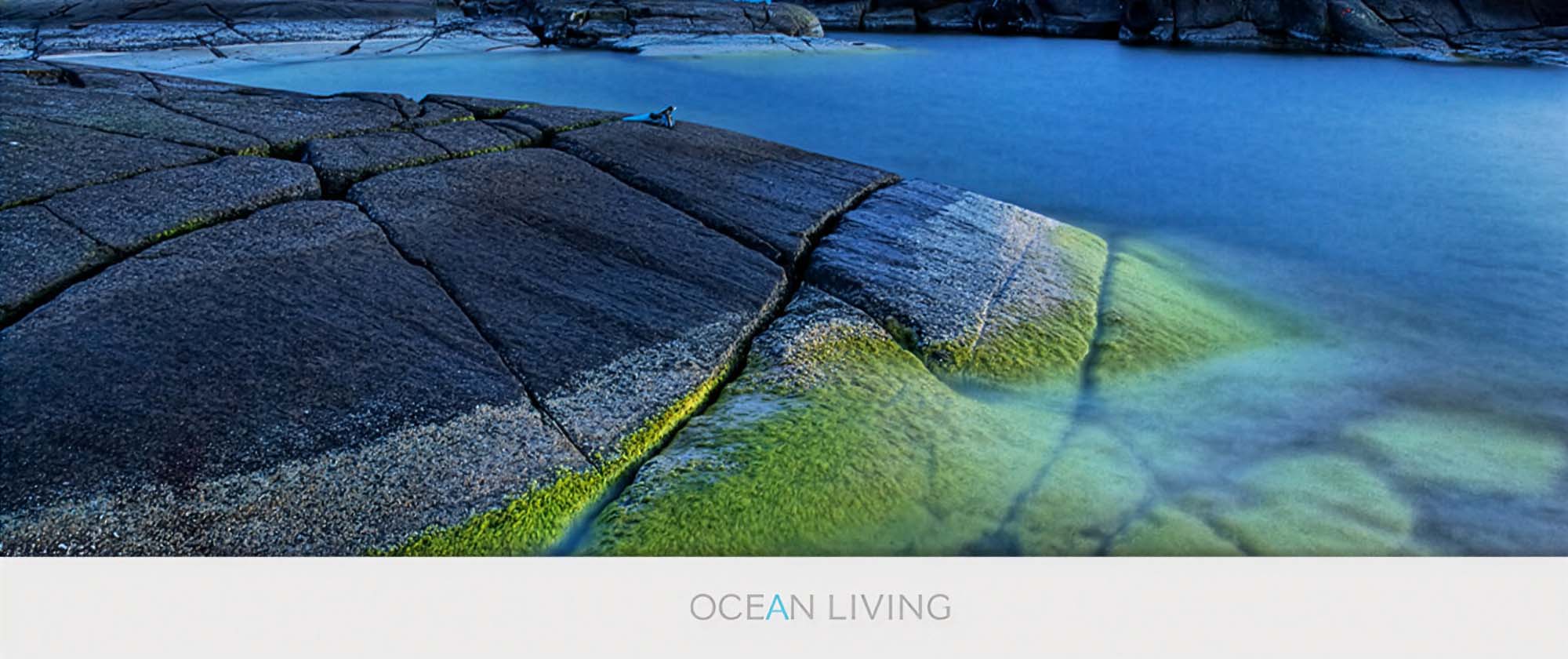 Ocean Living: logotype in use