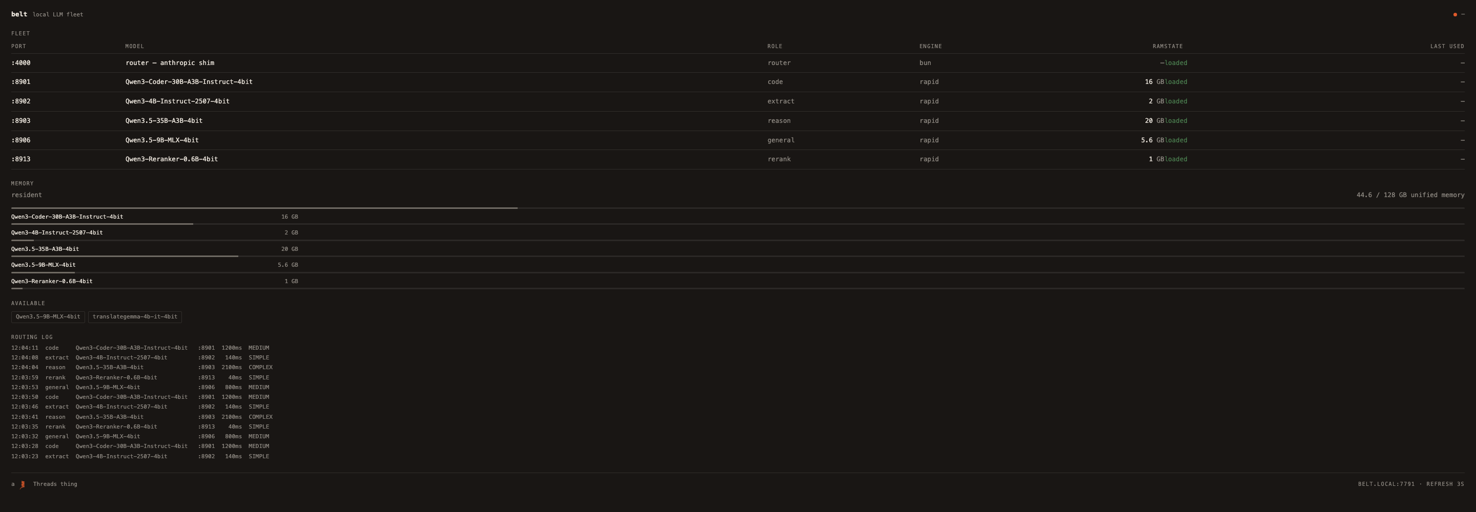 Belt dashboard showing local models and memory use