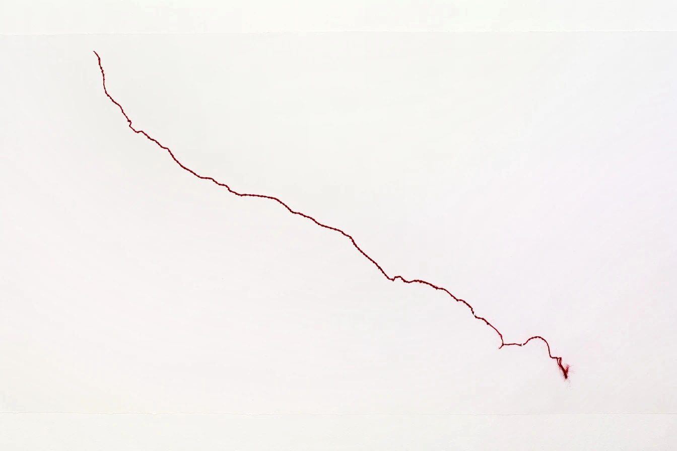 A single carmine thread wandering diagonally across white paper