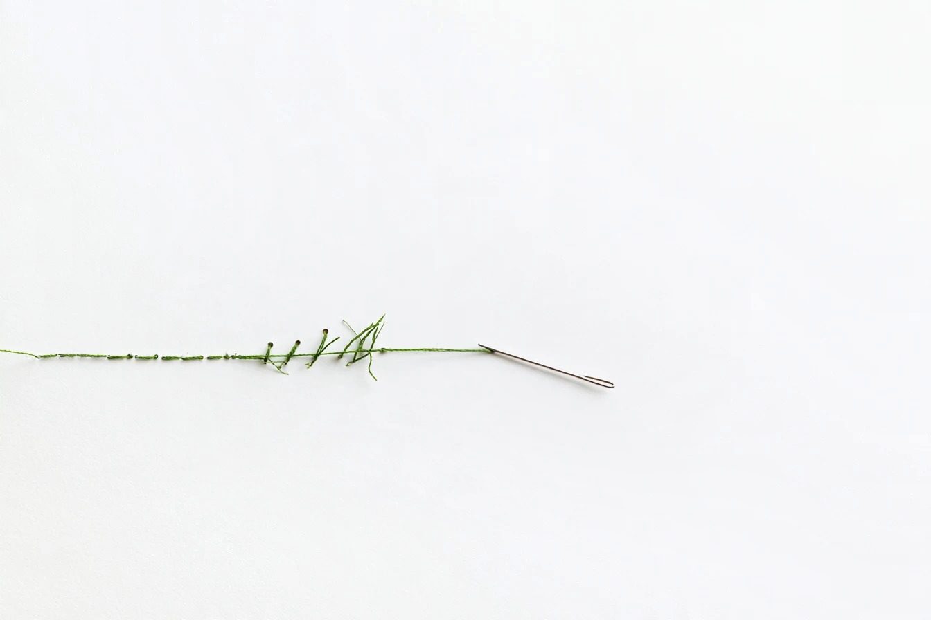 A green thread with a needle resting where the stitching stops