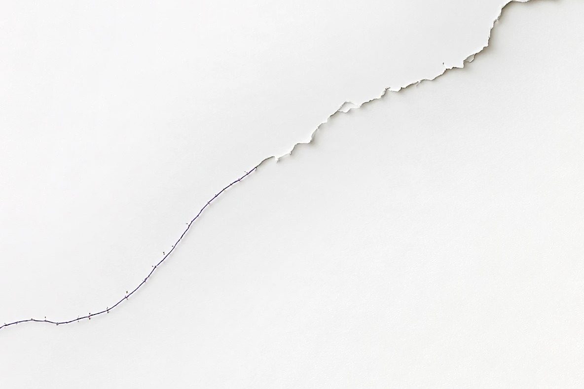 A single violet thread meandering up white paper toward a torn edge